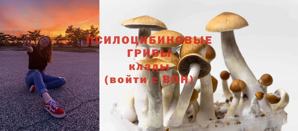 ECSTASY Семёнов
