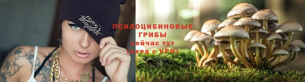 Альфа ПВП Балабаново